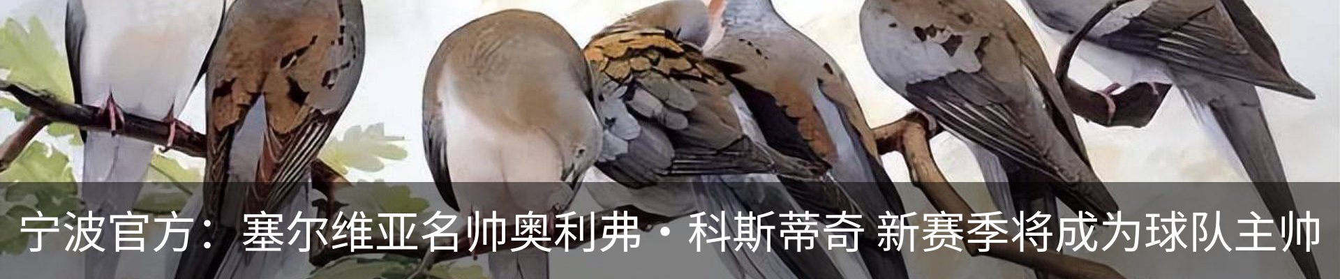 内页banner