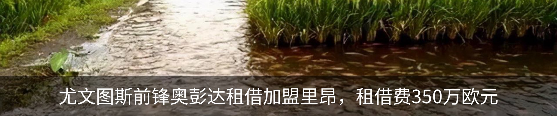 内页banner