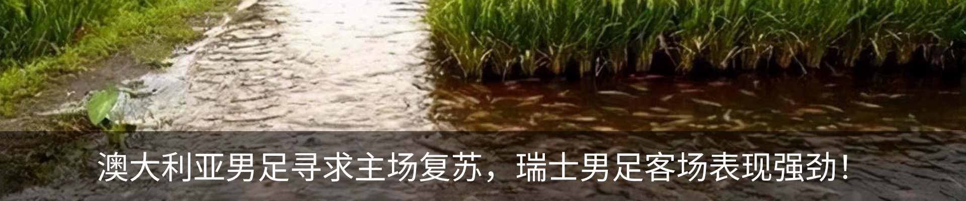 内页banner