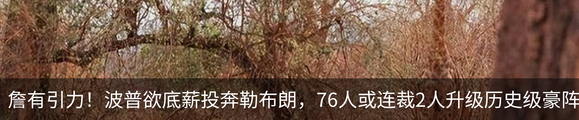 内页banner