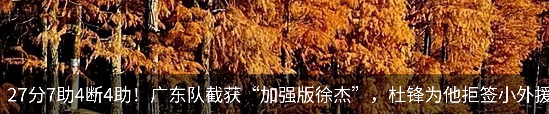 内页banner