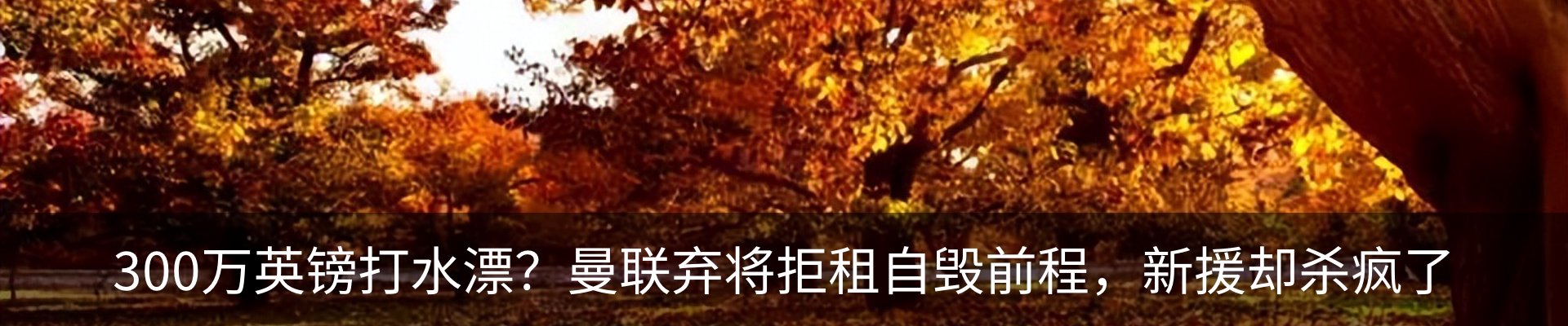 内页banner